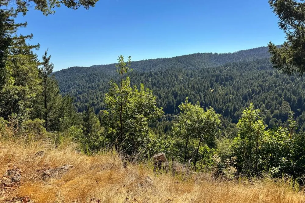 1200 Roberts Road Ben Lomond, CA 95005