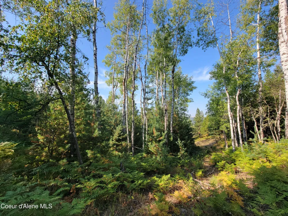 Lot J Frosty Lane Pinehurst, ID 83850