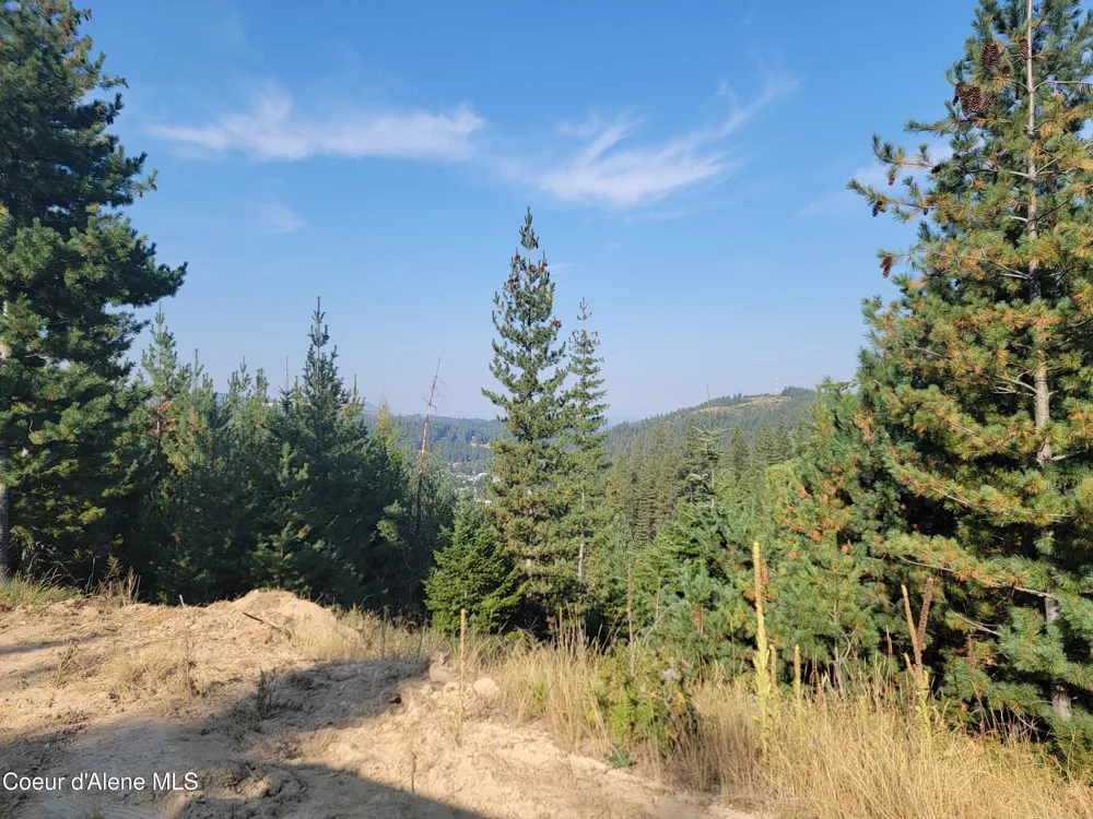 Lot J Frosty Lane Pinehurst, ID 83850