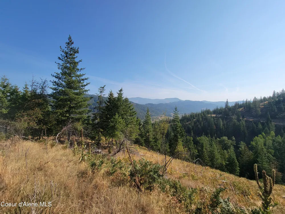 Lot J Frosty Lane Pinehurst, ID 83850