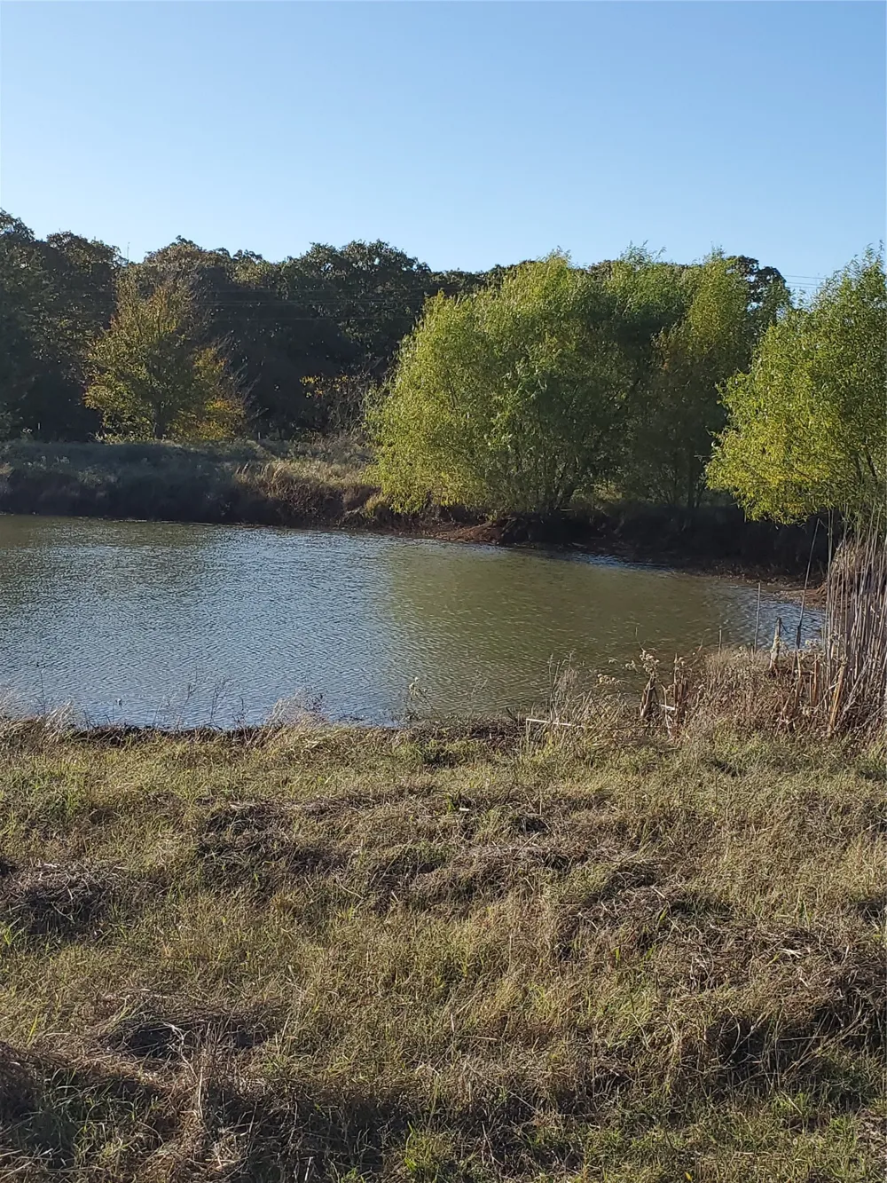 C. R. 2610 Ivanhoe, TX 75447