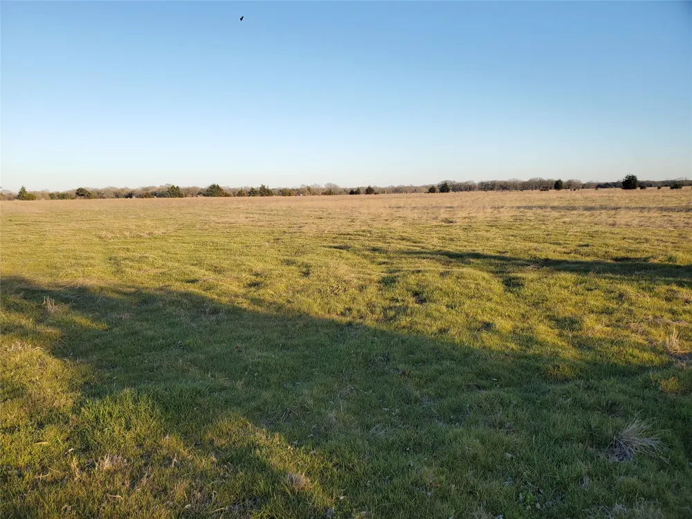C. R. 2610 Ivanhoe, TX 75447