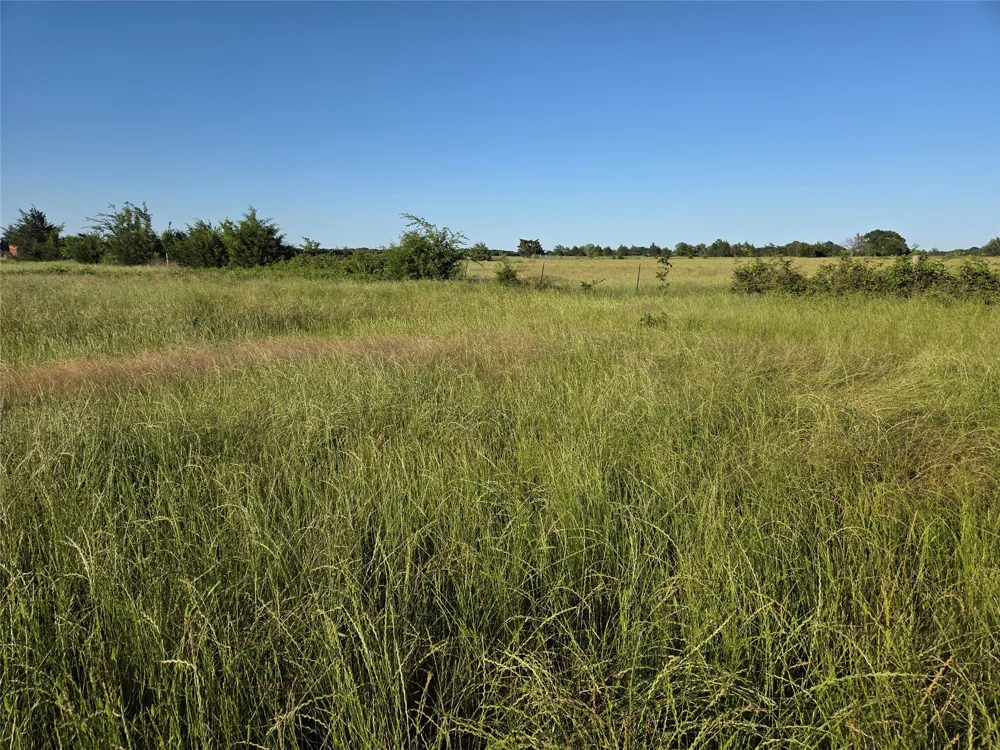 C. R. 2610 Ivanhoe, TX 75447