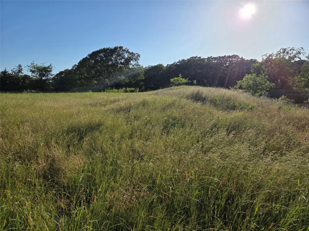 C. R. 2610 Ivanhoe, TX 75447