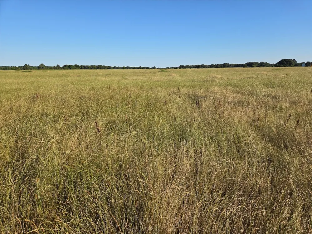 C. R. 2610 Ivanhoe, TX 75447