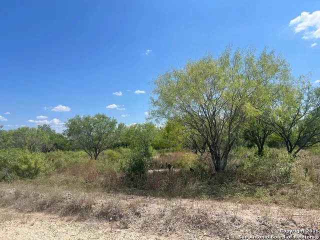 760 CR 200 Three Rivers, TX 78071