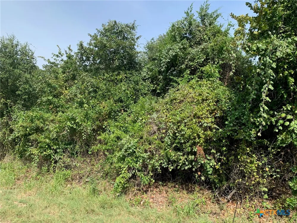 Cr 414 Chilton, TX 76632