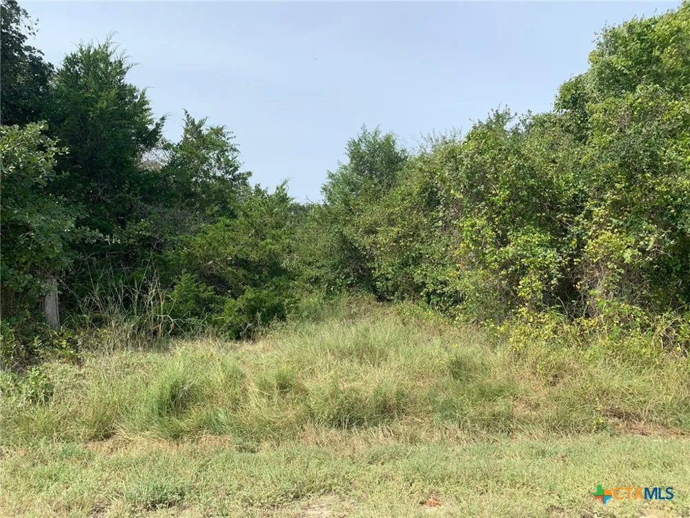 Cr 414 Chilton, TX 76632