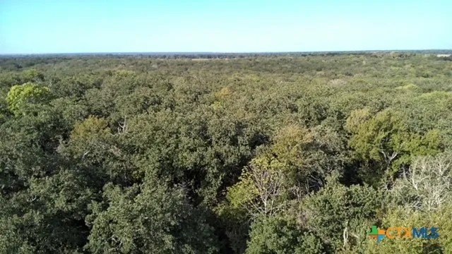 Cr 414 Chilton, TX 76632