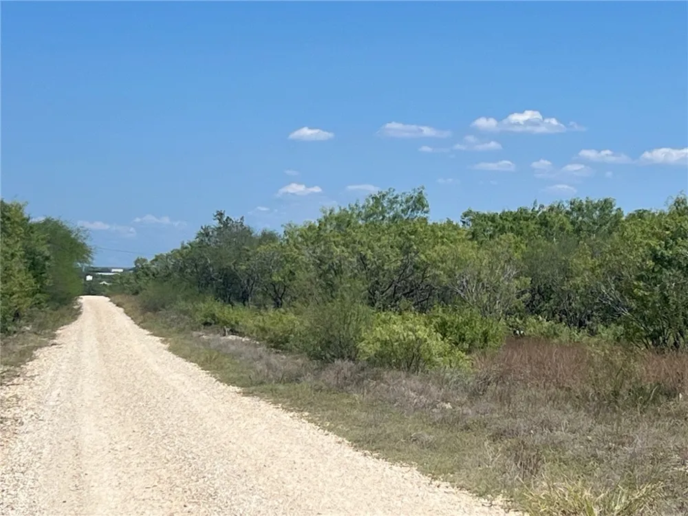 750 CR 200 Three Rivers, TX 78071