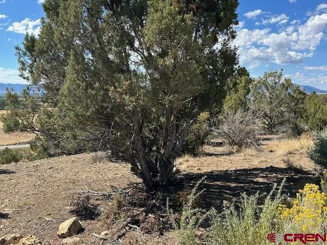 Road V4 Dolores, CO 81323