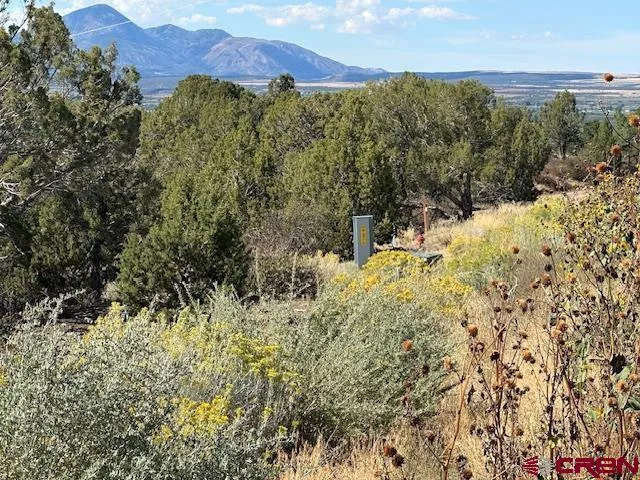 Road V4 Dolores, CO 81323
