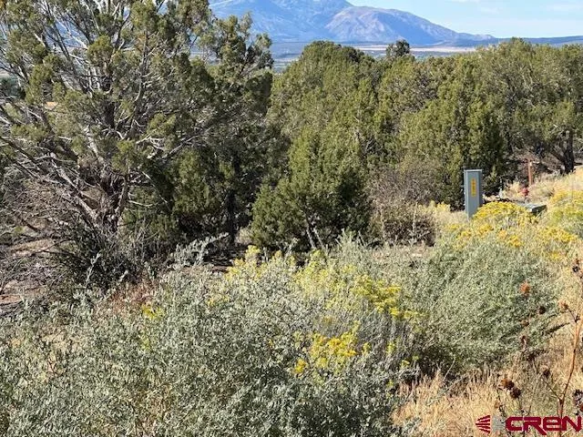 Road V4 Dolores, CO 81323