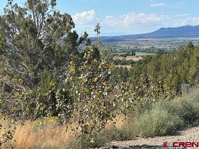 Road V4 Dolores, CO 81323