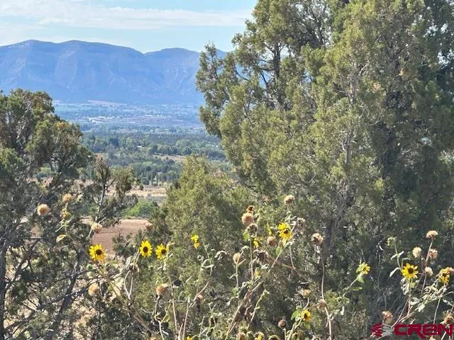 Road V4 Dolores, CO 81323