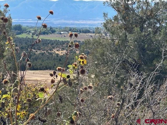 Road V4 Dolores, CO 81323