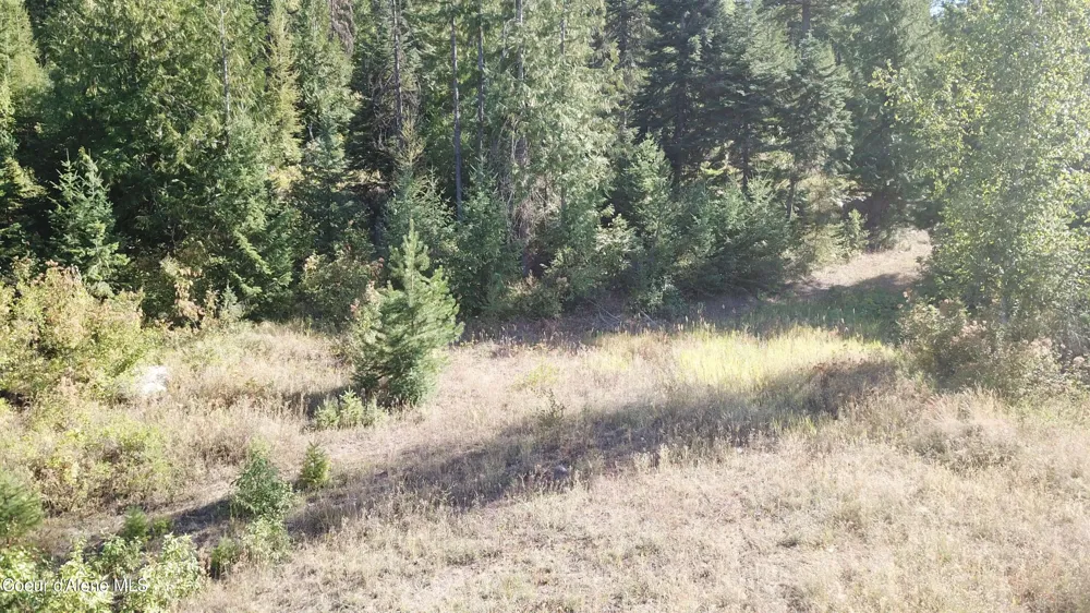 Lot 1 Riverbend Ridge Sagle, ID 83860