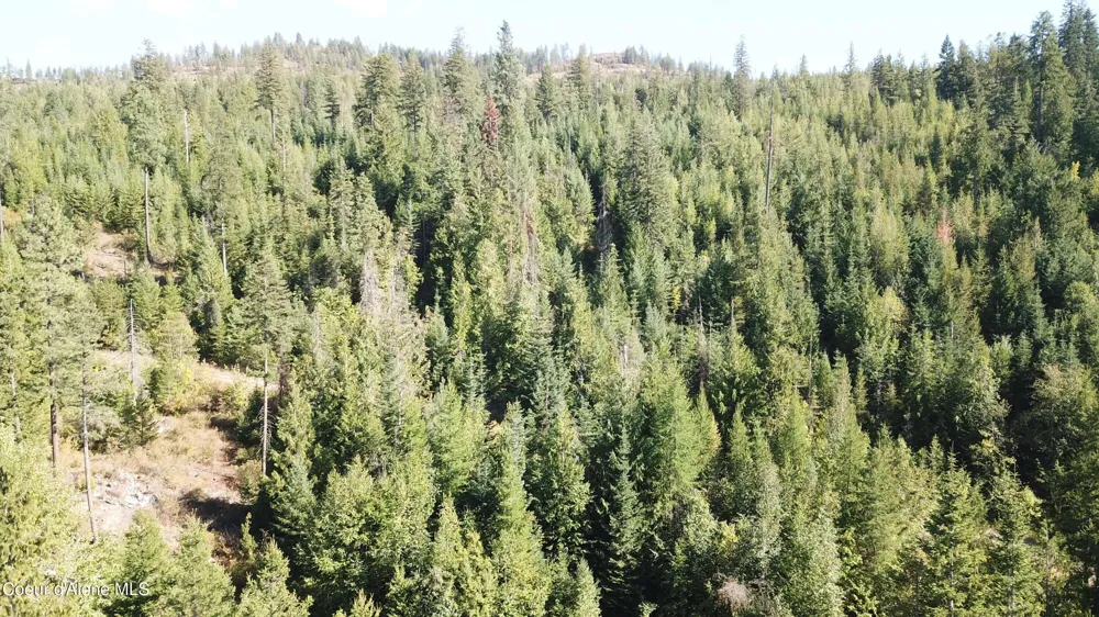 Lot 1 Riverbend Ridge Sagle, ID 83860