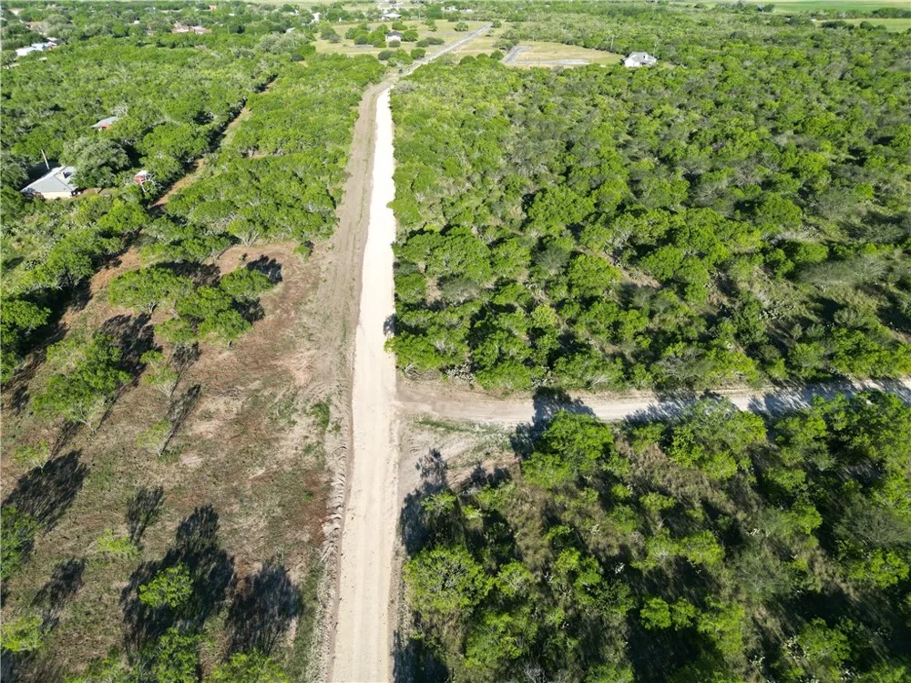 760 CR 200 Three Rivers, TX 78071