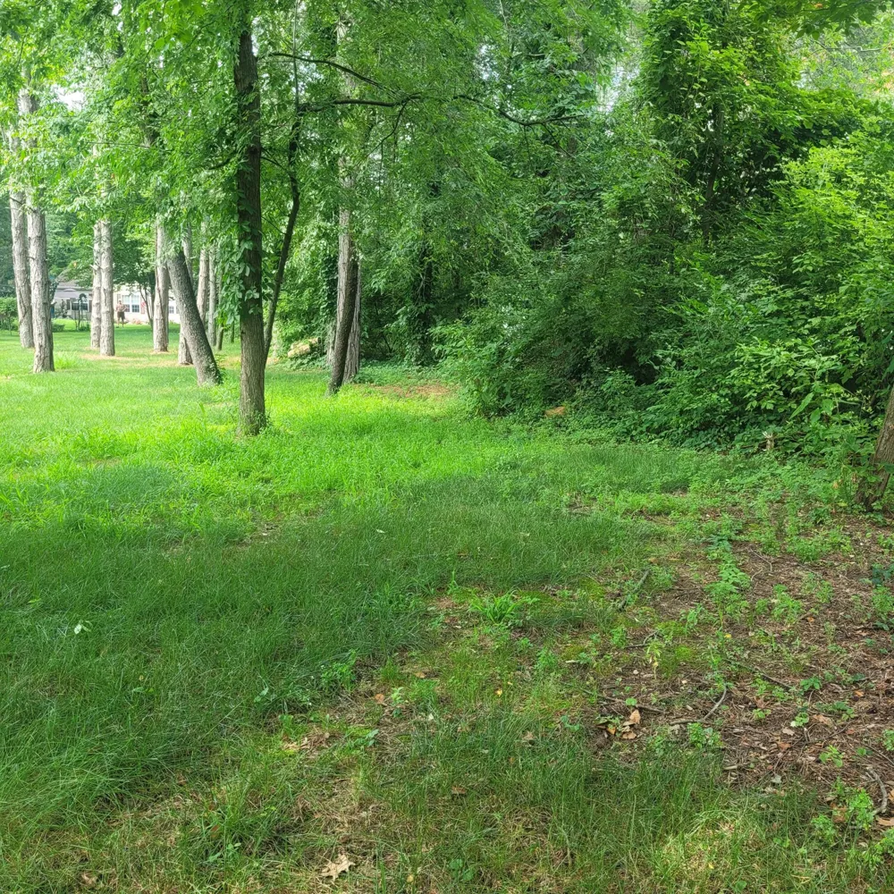 11348 Oakwood Drive Jerome, MI 49249