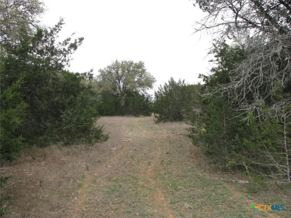 5448 County Road 182 Jonesboro, TX 76538