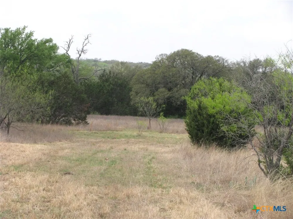 5448 County Road 182 Jonesboro, TX 76538