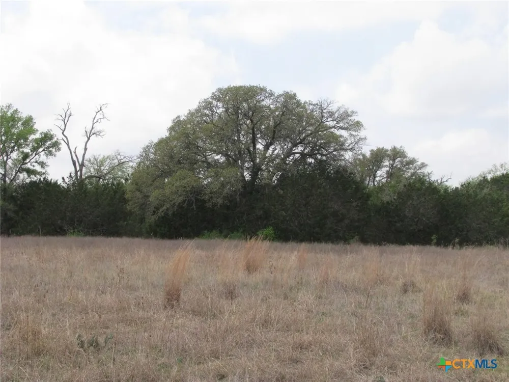 5448 County Road 182 Jonesboro, TX 76538
