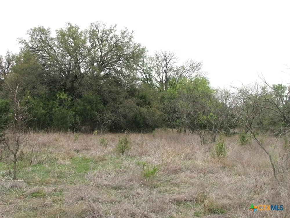 5448 County Road 182 Jonesboro, TX 76538