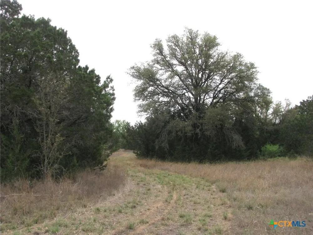 5448 County Road 182 Jonesboro, TX 76538