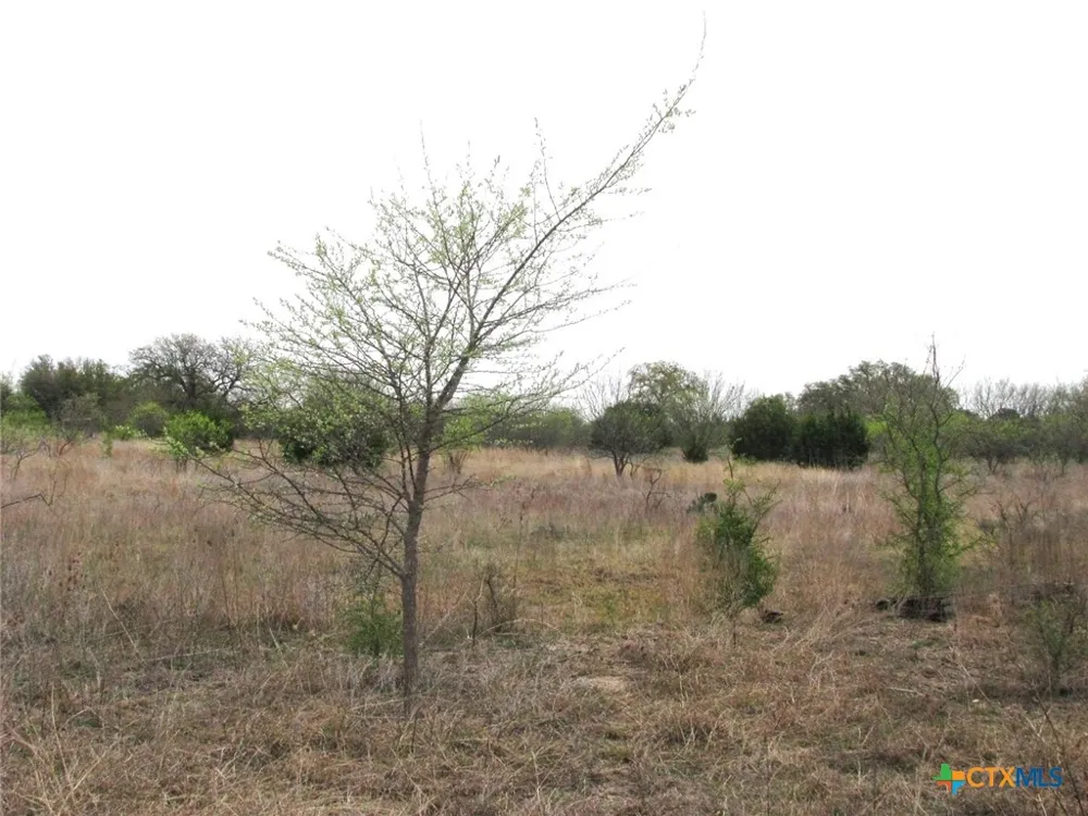 5448 County Road 182 Jonesboro, TX 76538