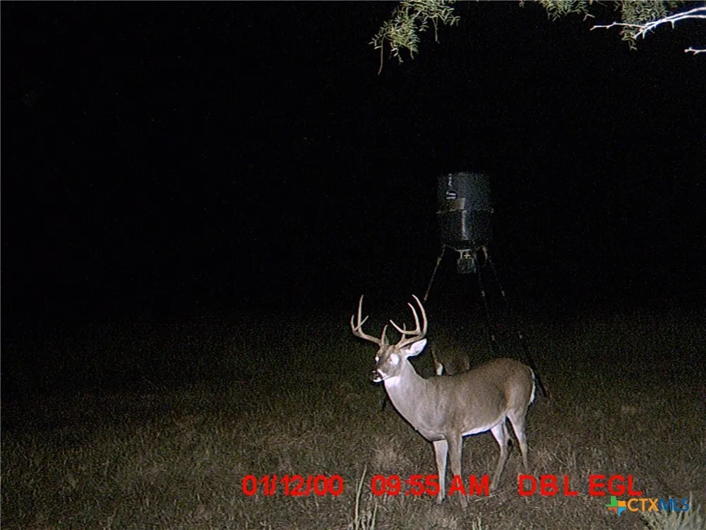 5448 County Road 182 Jonesboro, TX 76538