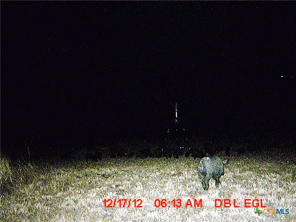 5448 County Road 182 Jonesboro, TX 76538