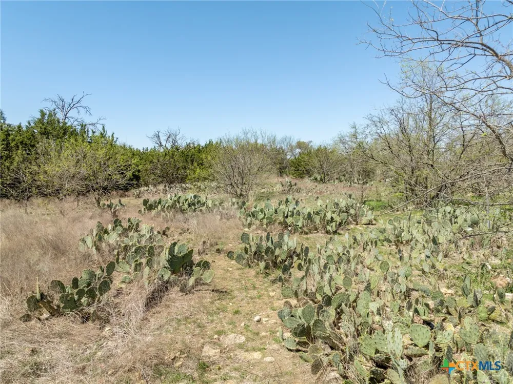 5448 County Road 182 Jonesboro, TX 76538
