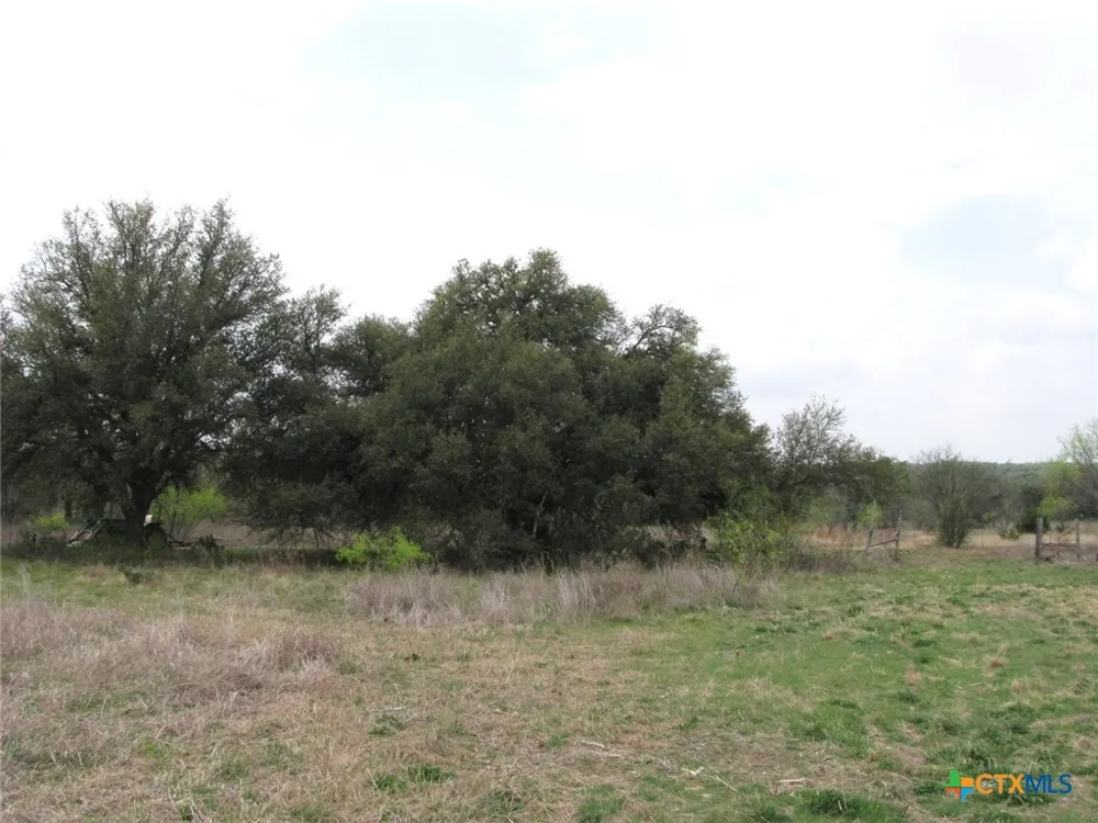 5448 County Road 182 Jonesboro, TX 76538