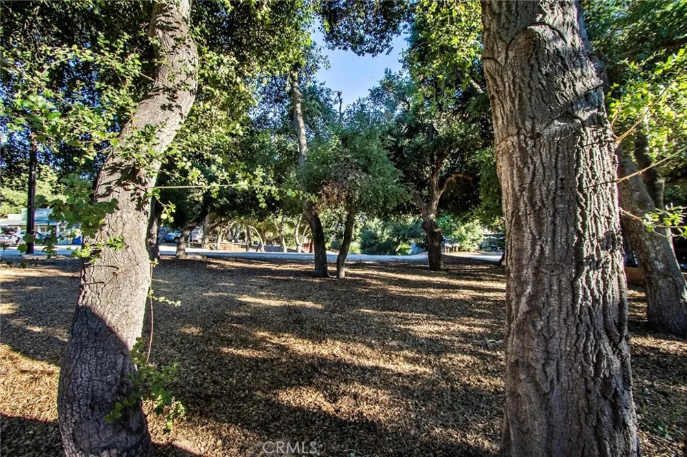 Calle Cascada Green Valley, CA 91350