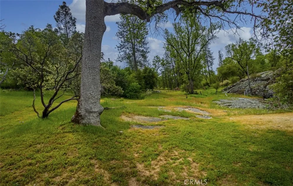 50622 Critter Creek Lane Oakhurst, CA 93644