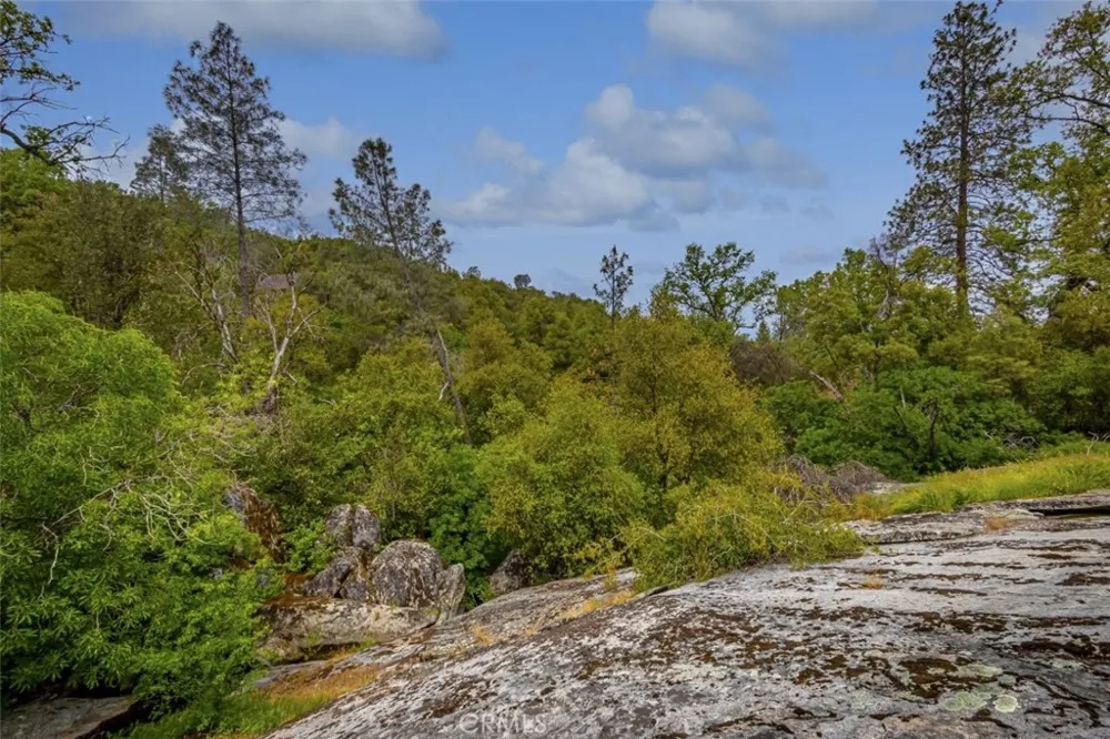 50622 Critter Creek Lane Oakhurst, CA 93644