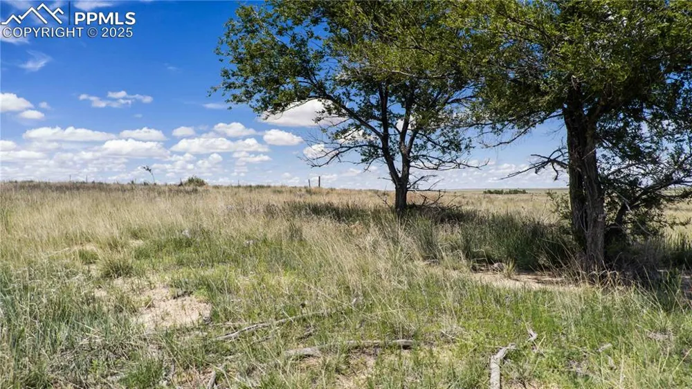 39320 Truckton Road Rush, CO 80833