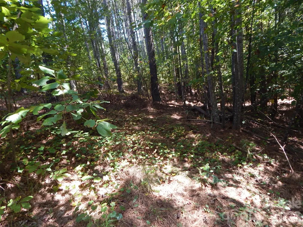 335 Table Rock Trace NW #154 Valdese, NC 28690