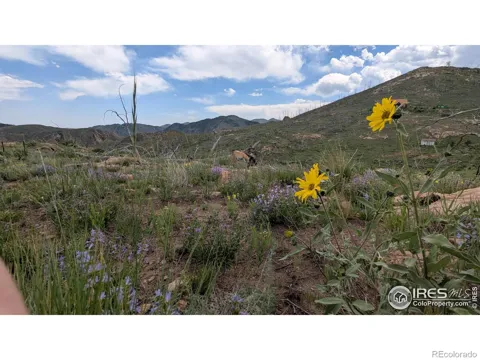 1324 Meadow Mountain Drive