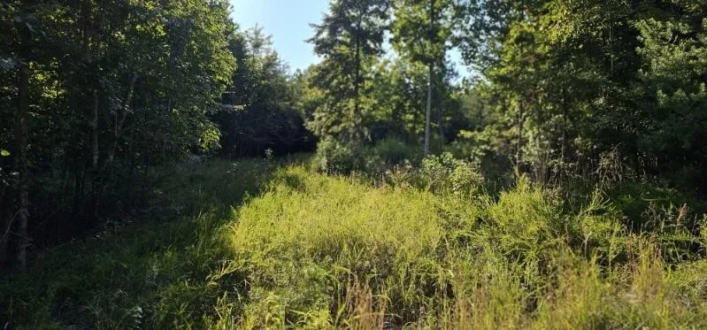 561 Bluff View Drive Dunlap, TN 37327
