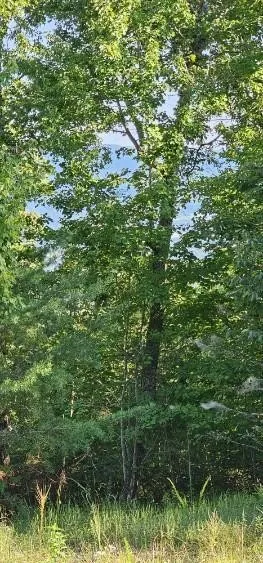 561 Bluff View Drive Dunlap, TN 37327