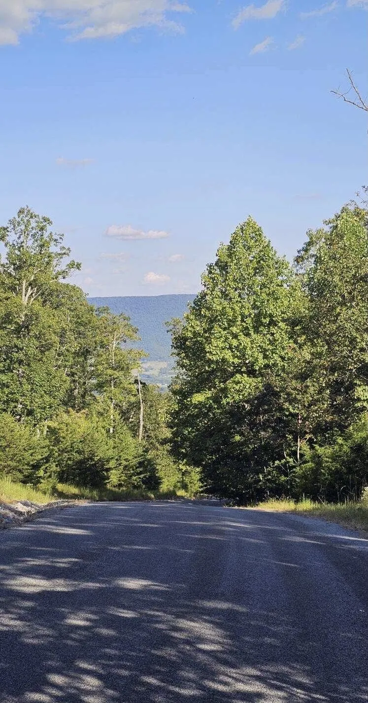 561 Bluff View Drive Dunlap, TN 37327