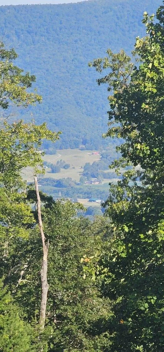 561 Bluff View Drive Dunlap, TN 37327