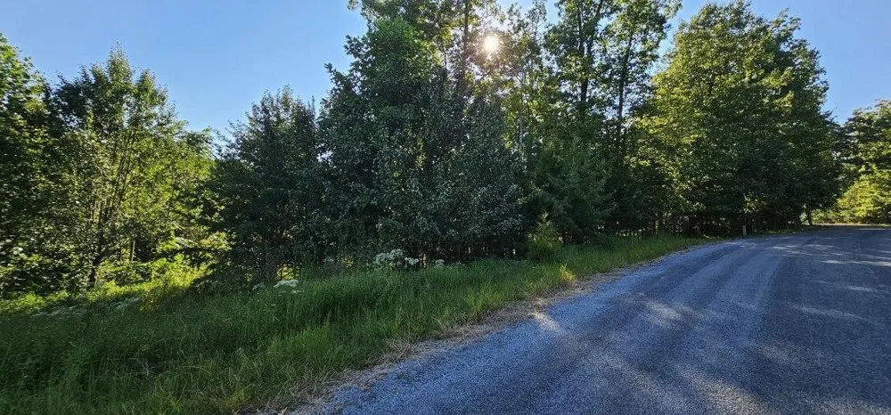 561 Bluff View Drive Dunlap, TN 37327