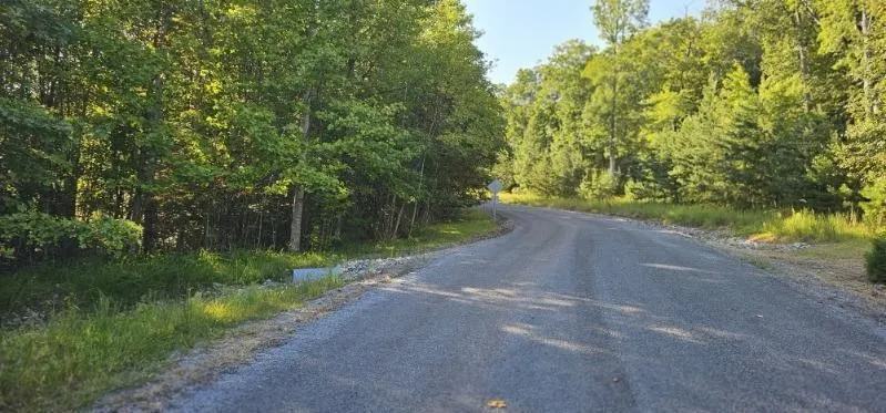 561 Bluff View Drive Dunlap, TN 37327