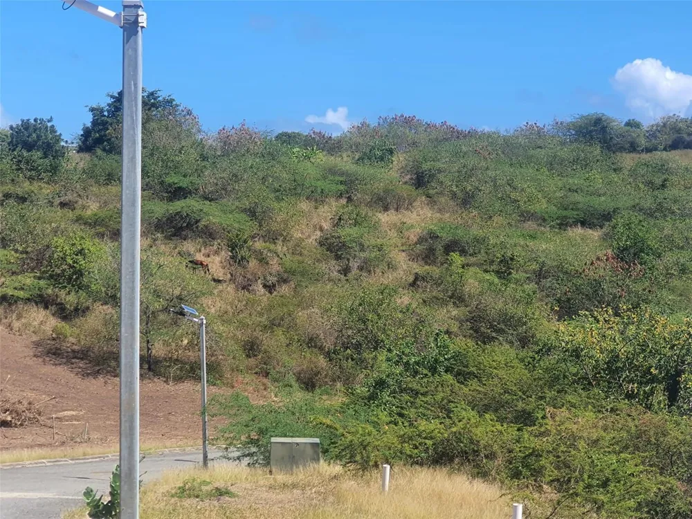 6 POSADA DEL CORONEL Culebra, PR 00775