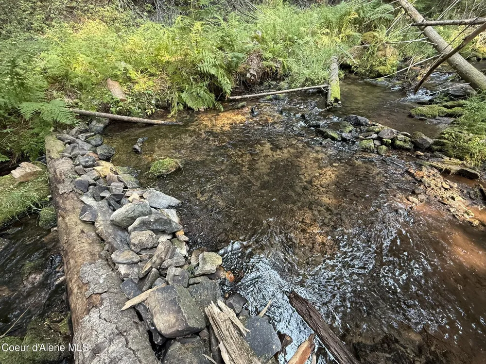 700 White Pine Way Fernwood, ID 83830