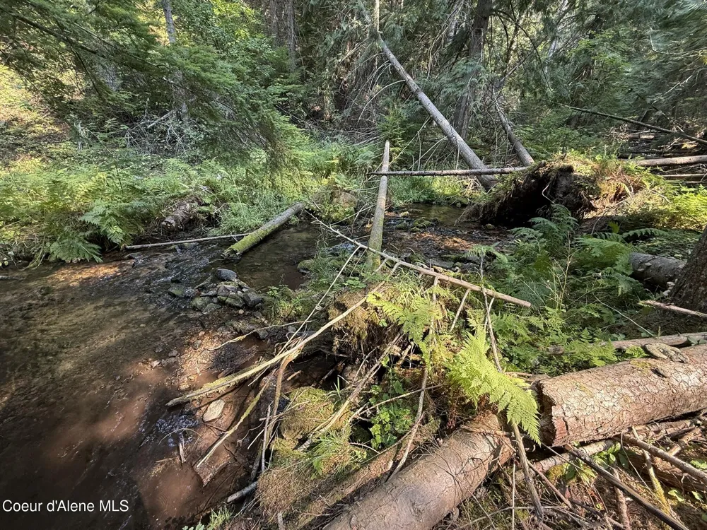 700 White Pine Way Fernwood, ID 83830