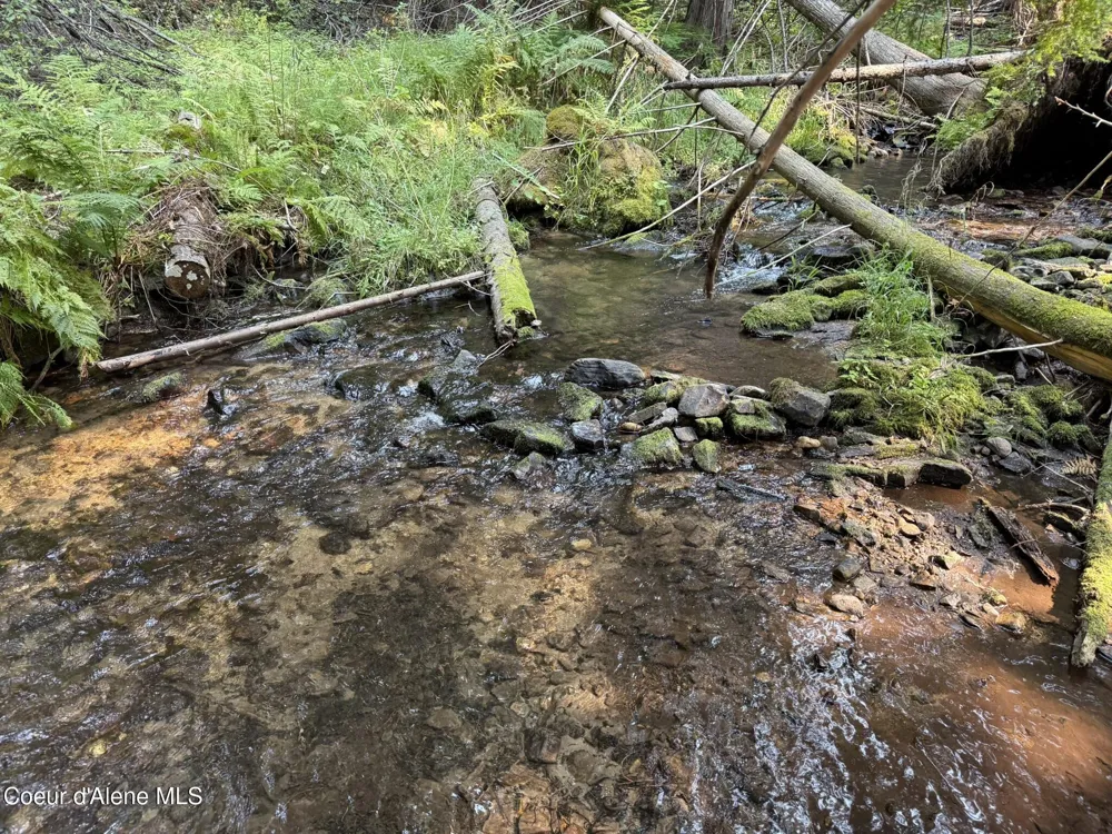 700 White Pine Way Fernwood, ID 83830